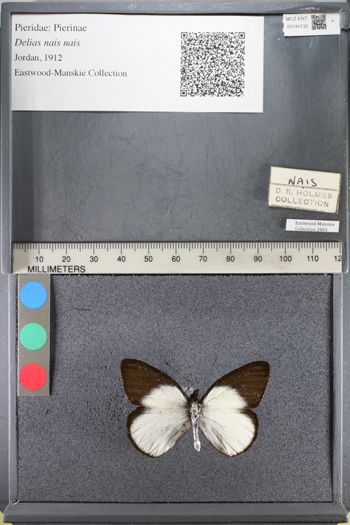 Media type: image;   Entomology 140132